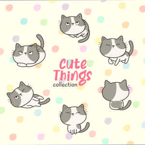 Gray And White Cat Cute Things Wallpaper