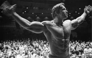Grayscale Celebrity Fame Arnold Schwarzenegger Wallpaper