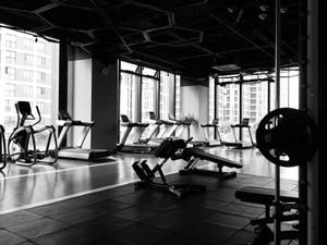 Grayscale Fitness Gym View Wallpaper