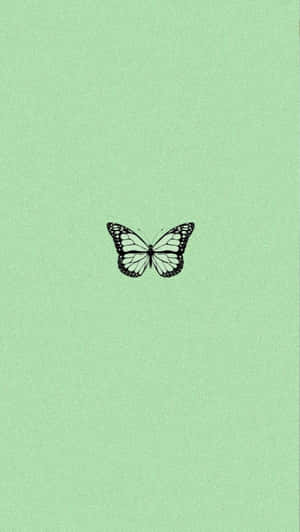 Green Aesthetic Butterfly Wallpaper Wallpaper