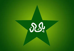 Green Aesthetic Pakistan Cricket Logo Wallpaper