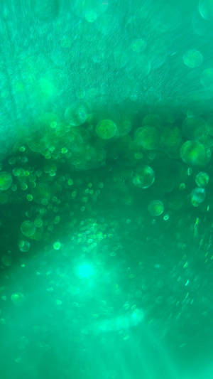 Green Aesthetic Tumblr Shimmer Wallpaper