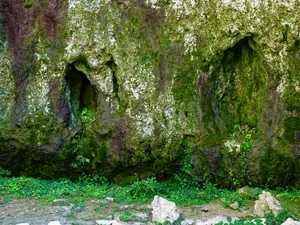Green Algae On Stone Wallpaper