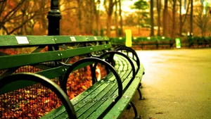 Green Bench In Park Wallpaper