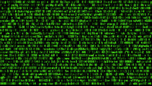 Green Binary Code 4k Wallpaper
