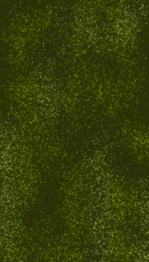 Green Bokeh Wallpaper
