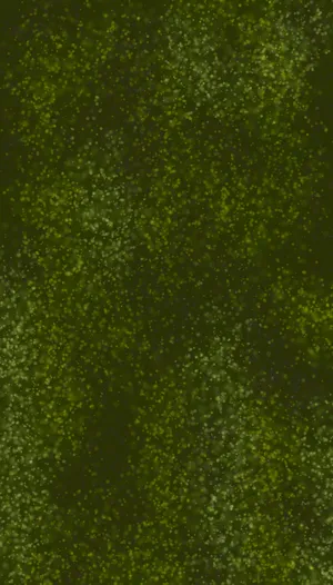 Green Bokeh Wallpaper