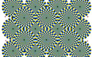 Green Cool Optical Illusions Spiraling Wallpaper