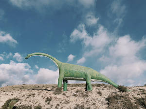 Green Diplodocus Dinosaur Wallpaper