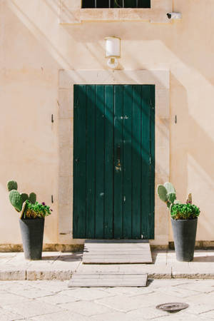 Green Door Black Pots Of Cactus Wallpaper