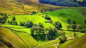 Green Fields New England Summer Wallpaper