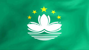 Green Flag Of Macau Wallpaper