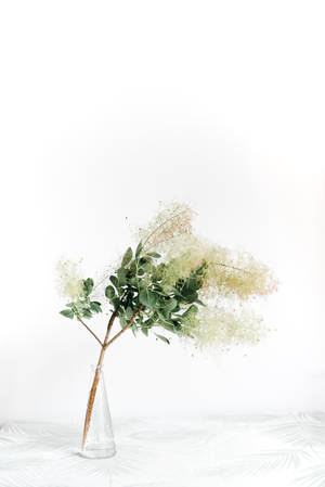 Green Floral Small Vase Wallpaper