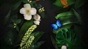 Green Forest Flowers And Butterflies Wallpaper