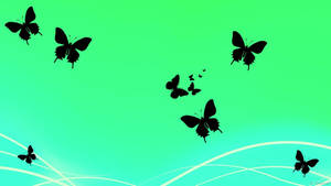 Green Gradient Butterfly Aesthetic Wallpaper
