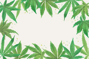 Green Gradient Marijuana Leaves Wallpaper