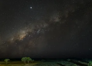 Green Grass Black Stars Wallpaper