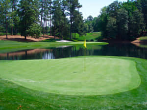 Green Grass On The Golf Course Wallpaper