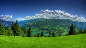 Green Hill Lake View Wallpaper