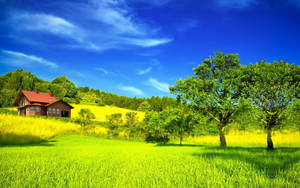 Green Hill With Red Wooden House Wallpaper