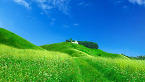 Green Hill With White Church Wallpaper