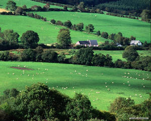 Green Irish Countryside Ireland Wallpaper