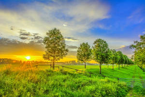 Green Landscape Sunset Desktop Wallpaper