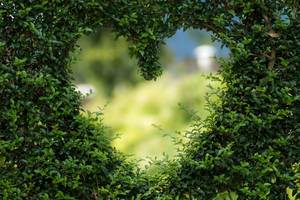 Green Leaves Heart Shape Cutout Wallpaper