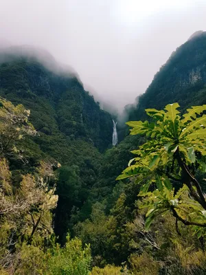 Green Mountains Amazing Iphone Wallpaper