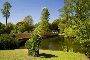 Green Nature Pond Wallpaper