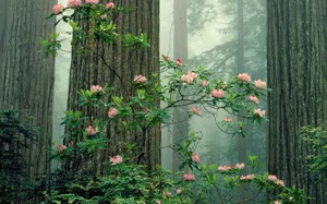 Green Plant Aesthetic Flower Wallpaper