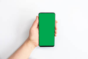 Green Screen Phone Vertical Wallpaper