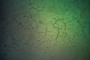 Green Soil Cracks Grunge Texture Wallpaper