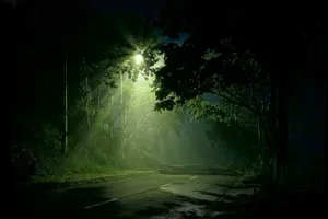 Green Street Light Wallpaper