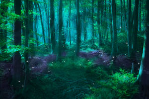 Green-tinted Enchanted Forest With Sparkles Wallpaper