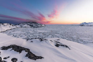 Greenland Frozen Sea Wallpaper