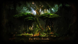 Greenshade The Elder Scrolls Online Wallpaper