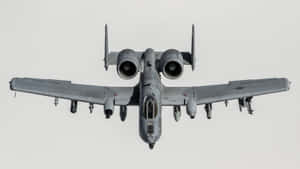 Grey A 10 Warthog Wallpaper