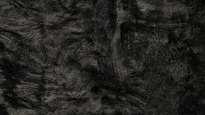 Grey And Black Color Felt Rug Wallpaper