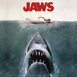 Grey Jaws Movie Poster Wallpaper