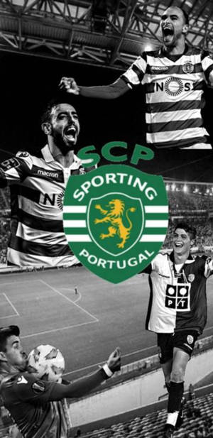 Greyscale Bruno Fernandes Sporting Cp Wallpaper