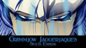 Grimmjow Eye Shot Wallpaper