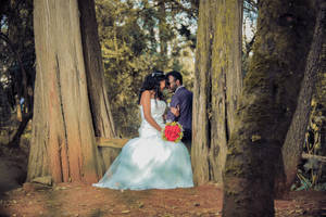 Groom And Bride In Tall Trees Wallpaper