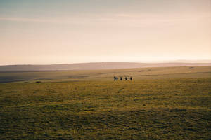 Group Of People Walking In The Diatnce Wallpaper