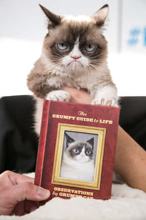 Grumpy Cat Book Wallpaper