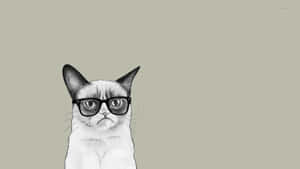 Grumpy Cat Glasses Wallpaper