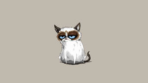 Grumpy Cat Hd Cartoon Wallpaper
