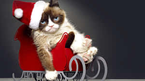 Grumpy Cat In Santa Hat Wallpaper