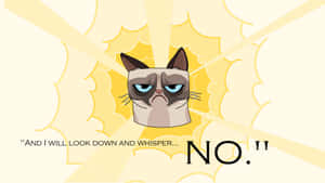 Grumpy Cat No Look Down And Miser Wallpaper