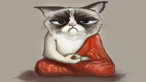 Grumpy Grey Cat Meme Wallpaper
